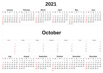2021 annual calendar with white background.
