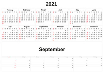 2021 annual calendar with white background.
