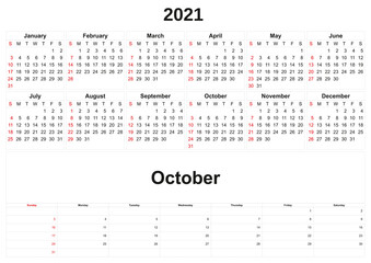 2021 annual calendar with white background.