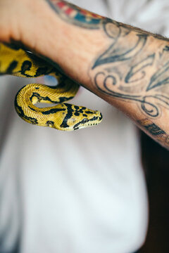 Man holding a python