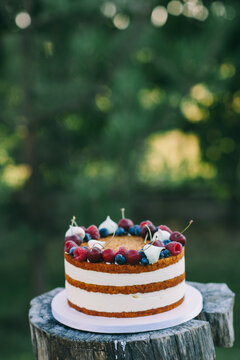 Vertical image of a white and brown naked cake with fruits, blurred green background