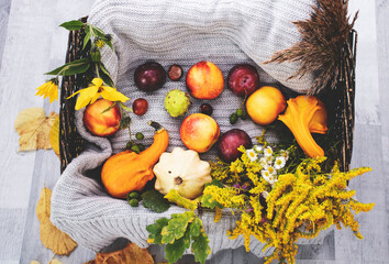 
Basket with autumn vegetables and flowers. On a warm blanket.