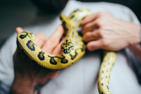 Man holding a python