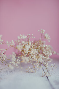 white tiny flowers