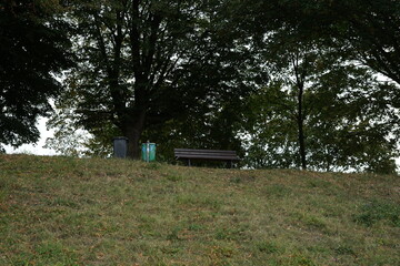 leere Parkbank im Grünen