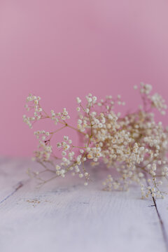 white tiny flowers