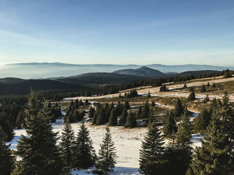 Mountain Kopaonik