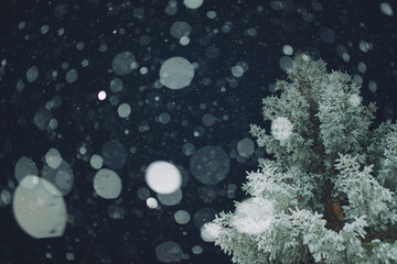 Snow falling at night