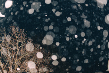 Snow falling at night