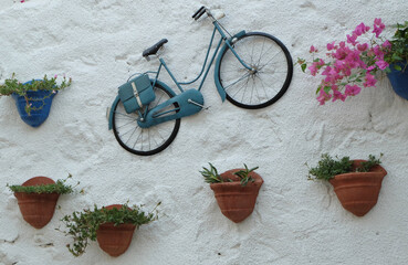 Fototapeta na wymiar View of wall decorated of plant pots and wheel in village Kas, Turkey