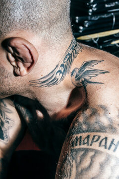 bird,free,tattoo,skinhead,punk