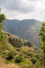Fototapeta na wymiar Mountains on a sunny day, Landscape photo, Green Hills.