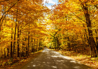A Road at Autumn in Door County of Wisconsin