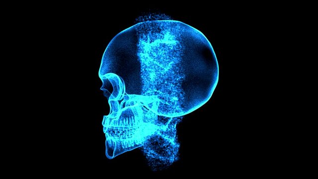 Blue flamed human Skull in dark background 3D rendering and 3d illustration