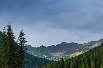 trees and high mountain range in the nature