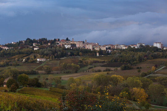 Picturesque fields in Italy, Alba, Piedmont. Horizontal outdoors shot