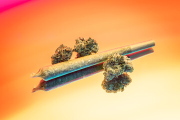 Marijuana Buds and Joint