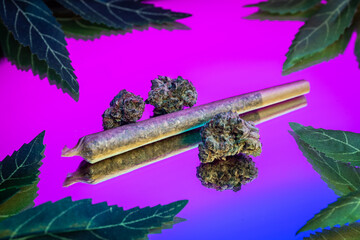 Marijuana Leaves, Buds and Joint