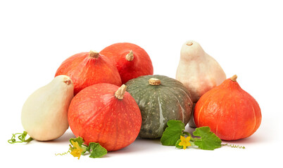 Pumpkins isolated on white
