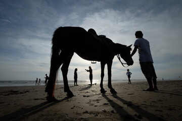 Fototapeta premium silhouette of a horse and rider