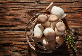 Fresh picked mushrooms