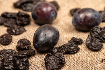 Juicy black plums and dried prunes on a homespun cloth with a rough texture. Close up. Autumn...