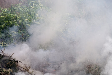 Fototapeta na wymiar Fire in the meadow, billowing thick smoke