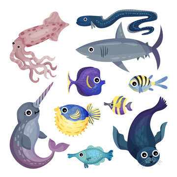 Marine Animals with Shark and Squid Vector Set