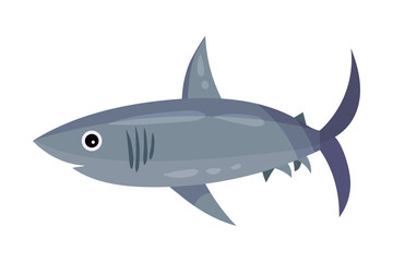 Fototapeta premium Funny Shark with Pointed Fins as Marine Animal Vector Illustration