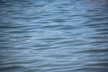 Wasser, kleine Welle
