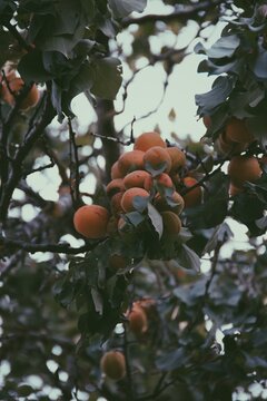 Processed with VSCO with p5 preset