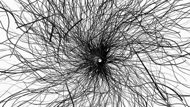 Abstract tangle of moving black ribbons. Dark matter wriggles through space.