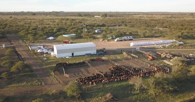 Aerial view of a farm, next to the corral full of cows.