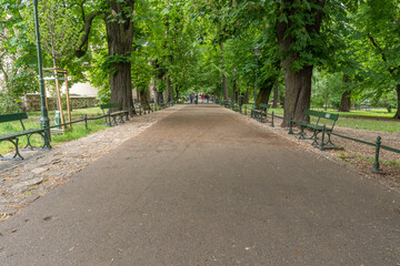 A few people wearing facemasks and walking lane in Planty Park In Cracow in springtime 2020