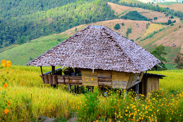 Traditional homestay in the middle of the rice fields on terraced of Ban Pa Bong Piang in Chiangmai, Thailand.