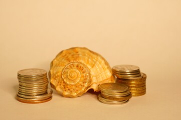 Shell with coins in close-up. Money for travel.