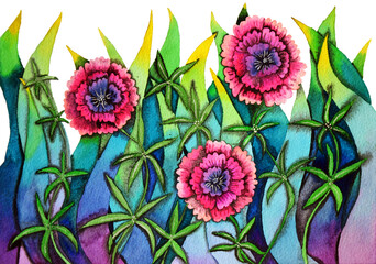 Portulaca oleracea flower with watercolor techniques illustration