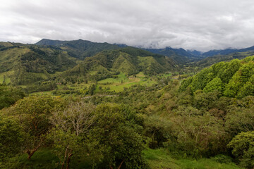 Andyjska dolina w centralnej Kolumbii - obrazy, fototapety, plakaty