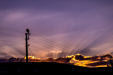 nature photo in sunset landscape