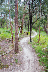 Fototapeta premium Plenty Gorge Parklands in Australia