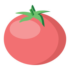 Isolated red tomato in minimalist style on white background