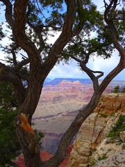 North America, United States, Arizona, Grand Canyon National Park