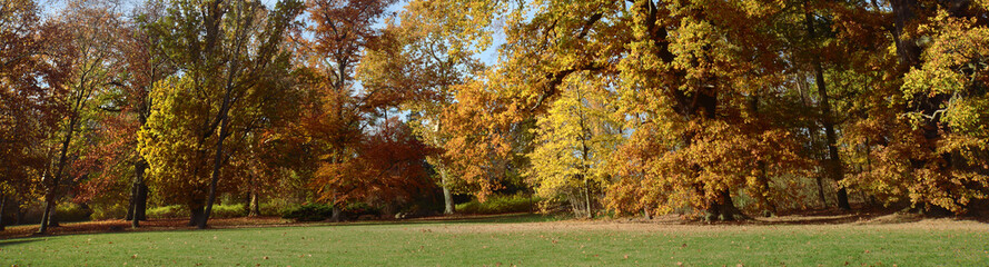 Naklejka premium Landschaft 902