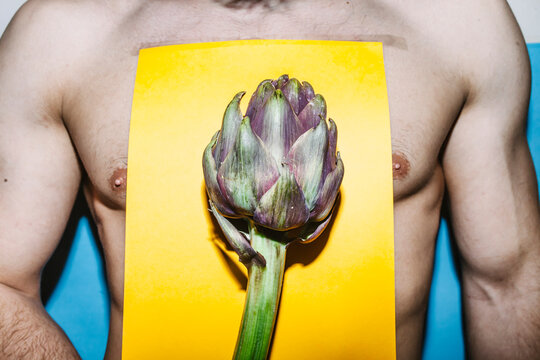 artichoke,food,body,man