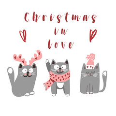 Three Christmas funny cats in love