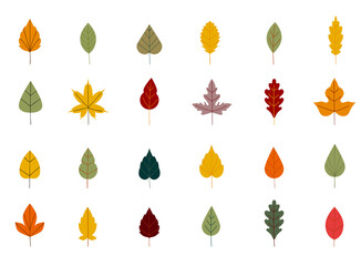 Collection beautiful colorful autumn leaves isolated on white background. Simple cartoon flat style. Autumn leaves of maple, oak, birch. Floral design element. - obrazy, fototapety, plakaty