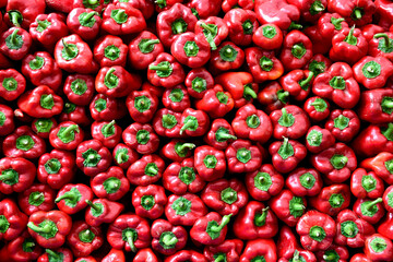 Fresh organic Turkish red bell peppers, farmers produce market, Istanbul, Turkey