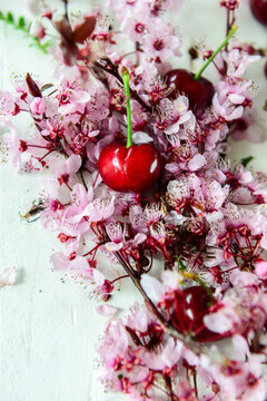 Cherries and pink cherries flowers on white wood