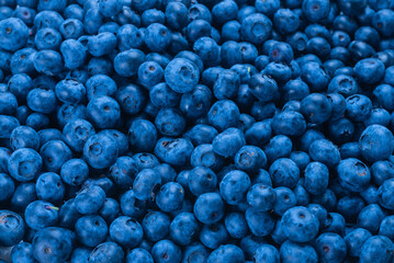 Fresh blueberry background.
