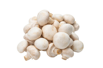 Champignon mushroom isolated on white background.